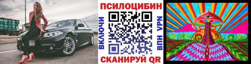 Псилоцибиновые грибы прущие грибы  Купить закладки  Тайшет 
