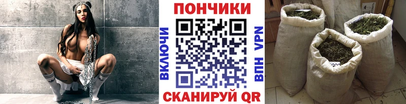 Конопля гибрид  Купить закладки  Тайшет 
